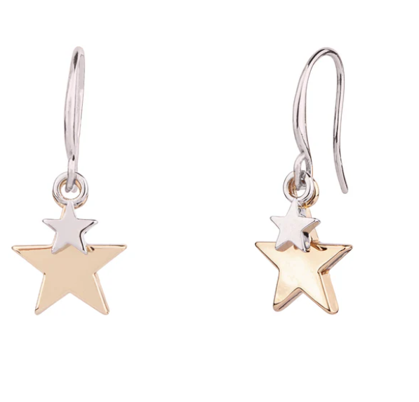 Keira Rhodium and Gold Plated Mixed Star Earrings Hook Earrings