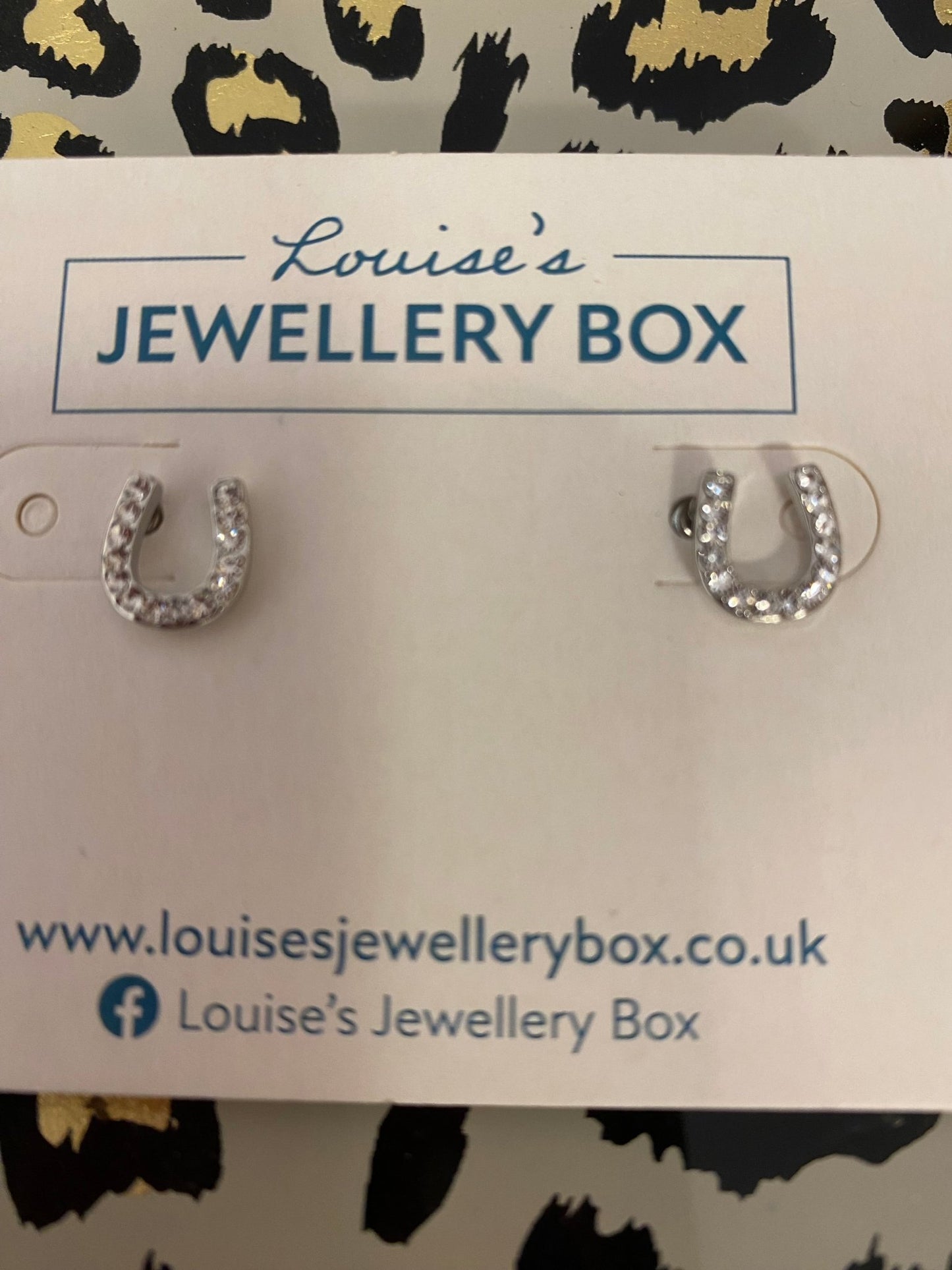 Horseshoe Silver Crystal Earrings - Louise's Jewellery Box