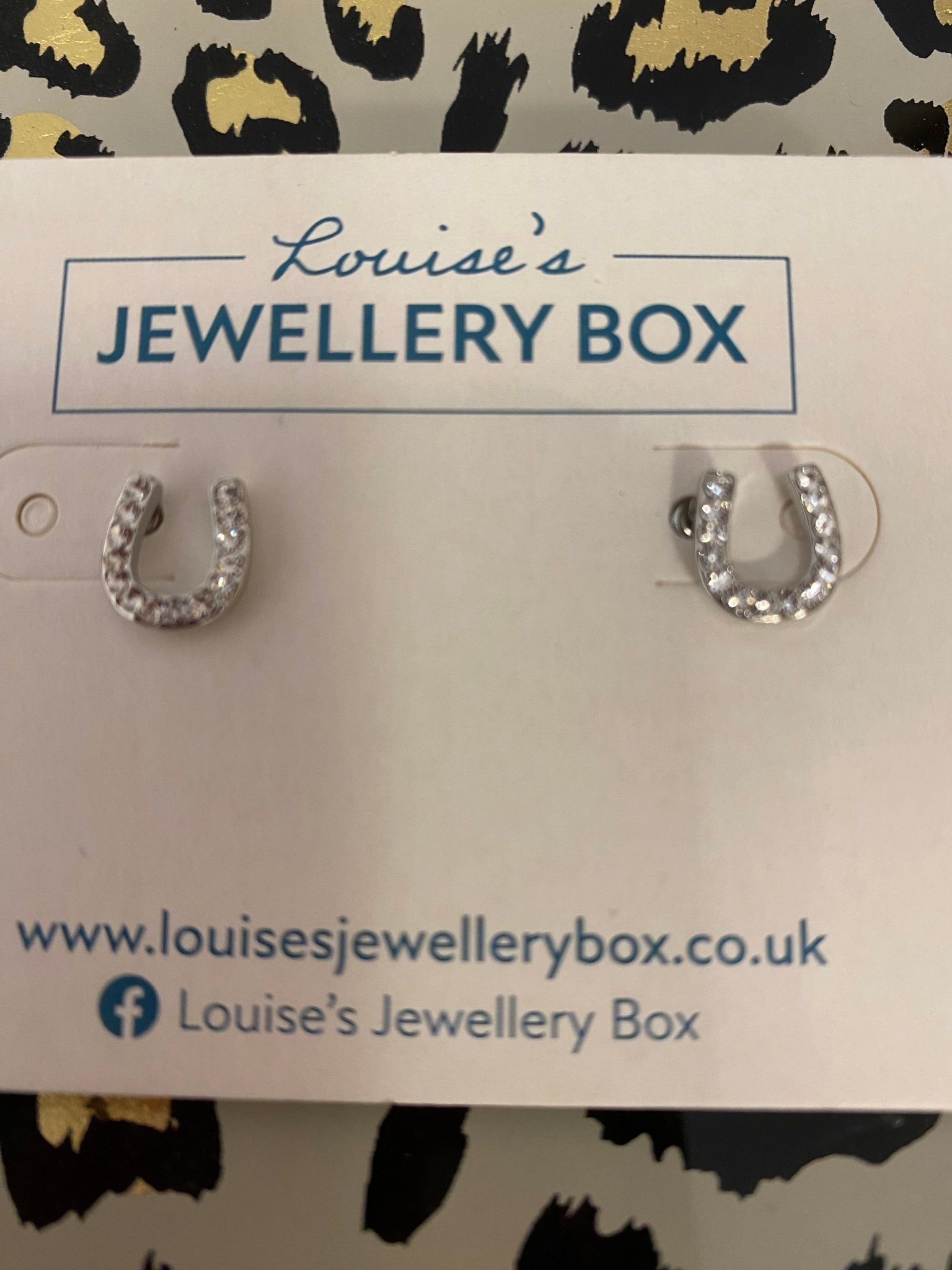 Horseshoe Silver Crystal Earrings - Louise's Jewellery Box