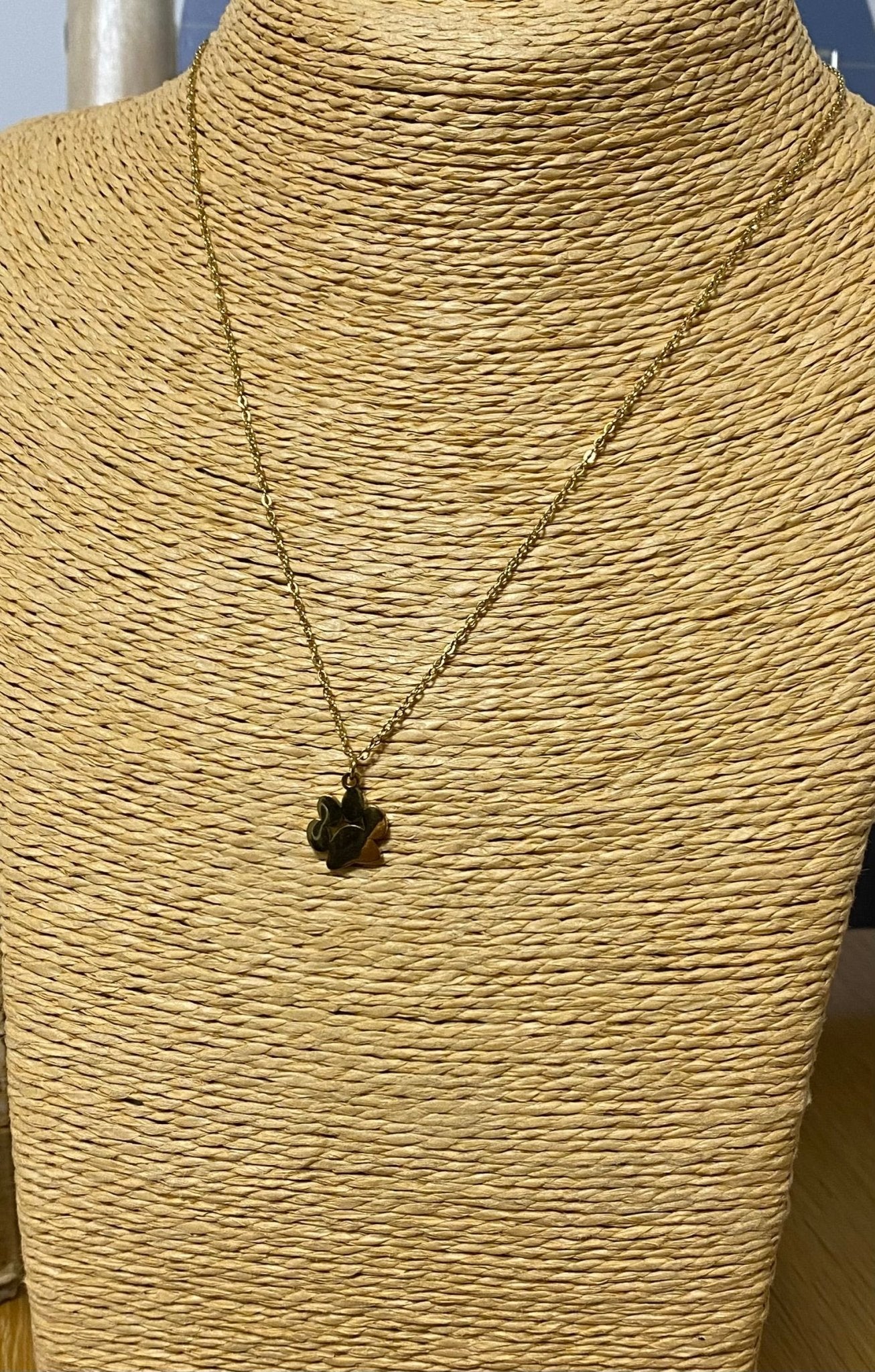 Pawprint Necklace and Earring Set in Waterproof Gold Plating - Louise's Jewellery Box