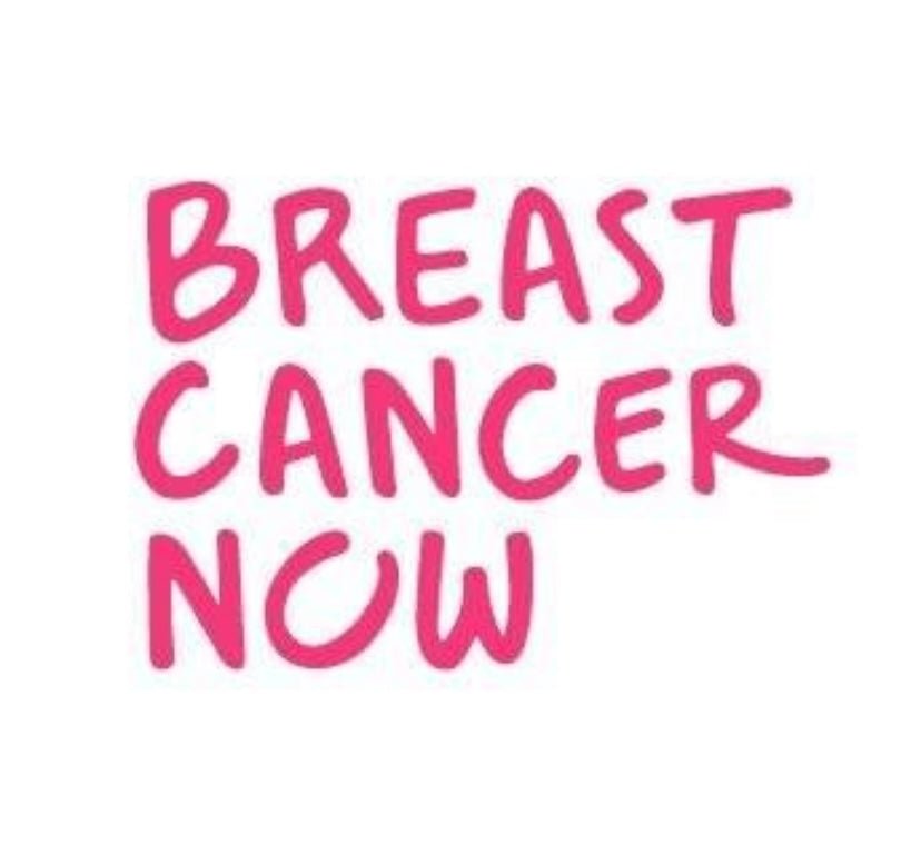 Pink Ribbon Crystal Charity Earrings - Louise's Jewellery Box